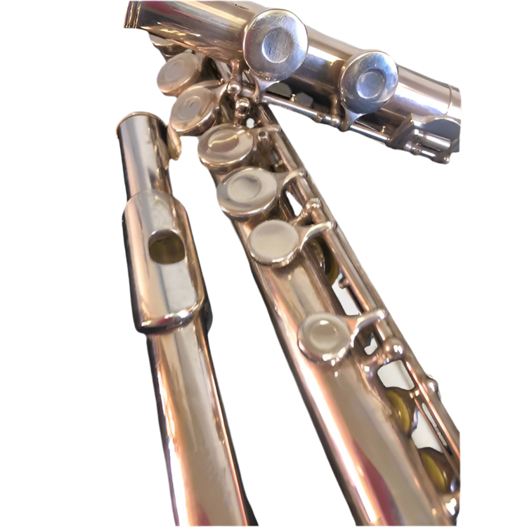 Vintage Gemeinhardt 2SP Flute & Case