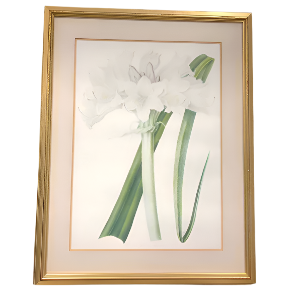 William Jackson Hooker Etching Framed Print