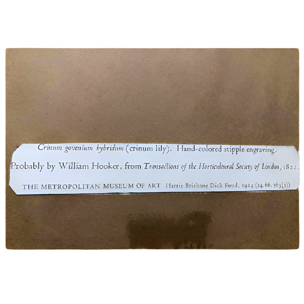 William Jackson Hooker Etching Framed Print