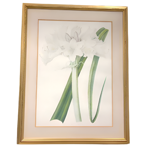 William Jackson Hooker Etching Framed Print